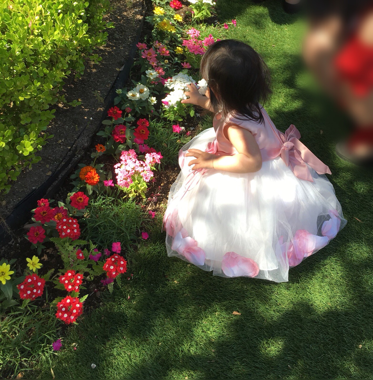 1歳５ヶ月娘と結婚式に参列 子供の服装 衣装 ドレス 持ち物などはどうする 女の子 転勤主婦まるこのブログ